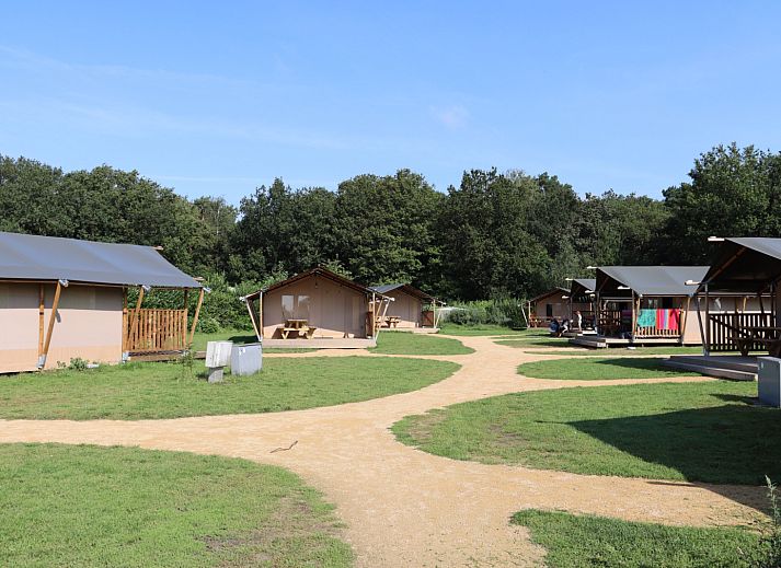 Recreatiepark Duinhoeve