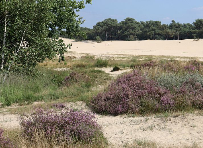 Recreatiepark Duinhoeve