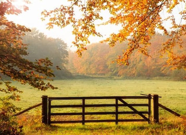 Buitenplaats in den Olden Bongerd