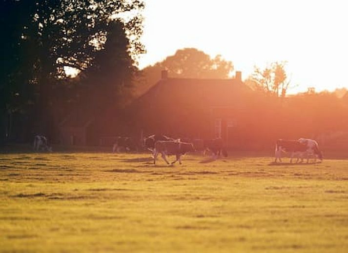 Buitenplaats in den Olden Bongerd