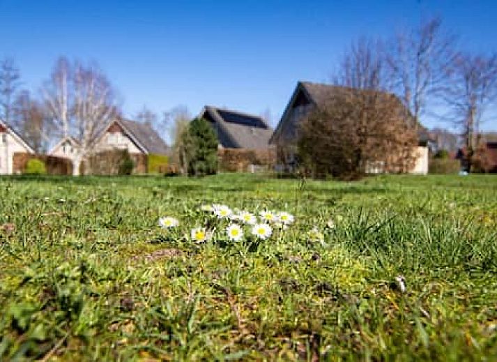 Vakantiepark Drentse Vennen