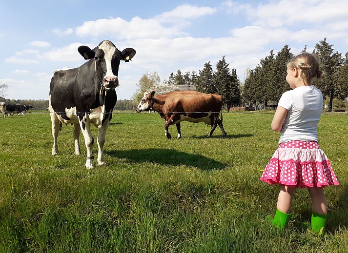 Familiepark de Vechtvallei