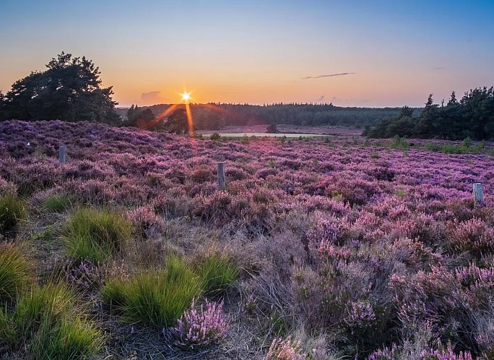 Landal Landgoed De Hellendoornse Berg