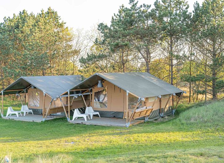 Little Canvas Escape