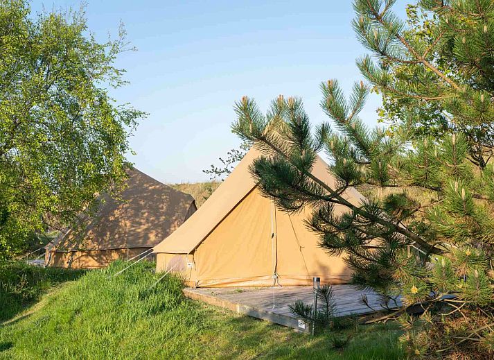 Little Canvas Escape