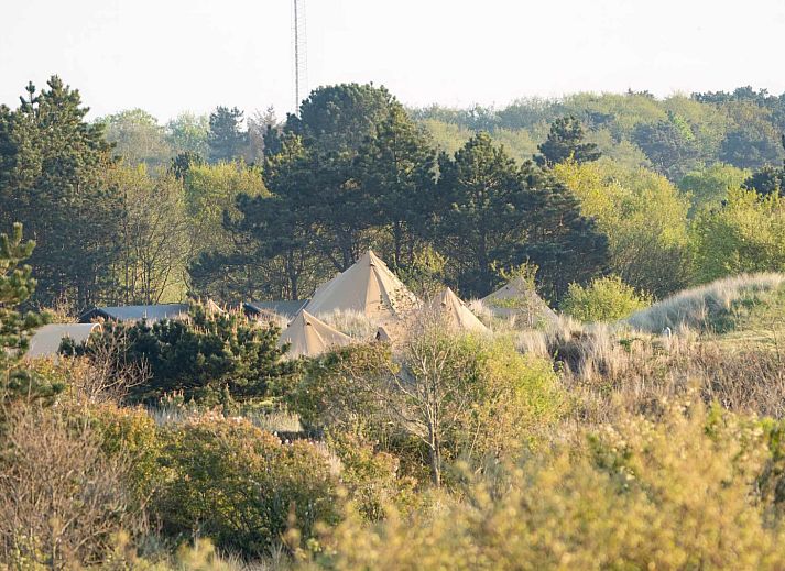 Little Canvas Escape