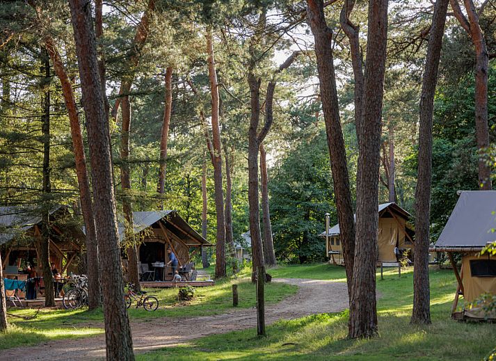Camping Huttopia De Veluwe