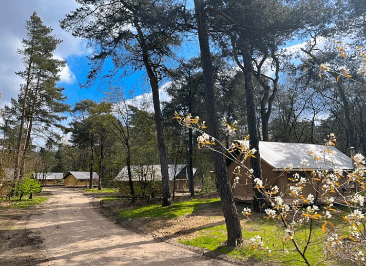 Camping Huttopia De Veluwe