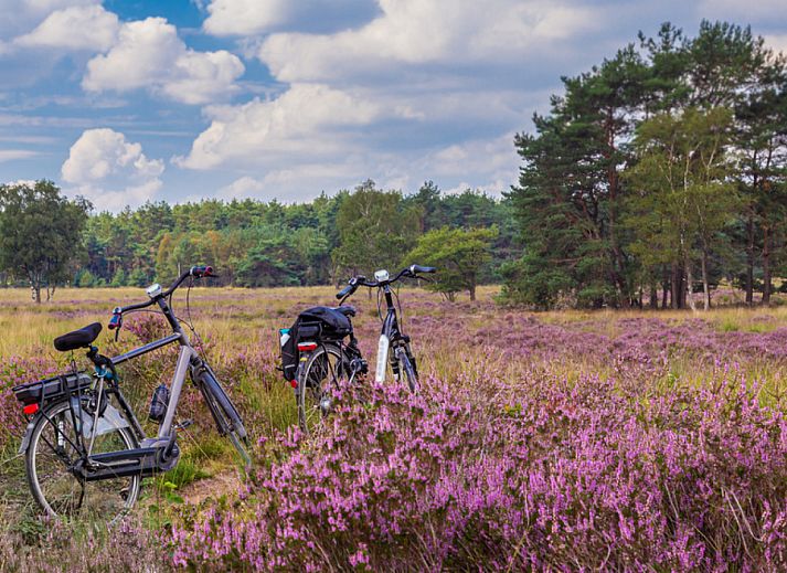 Camping Huttopia De Veluwe