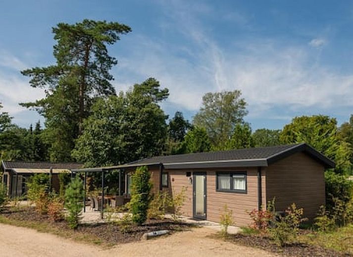 Veluwepark de Bosgraaf