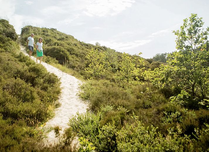 Landal Duinpark t Hof van Haamstede