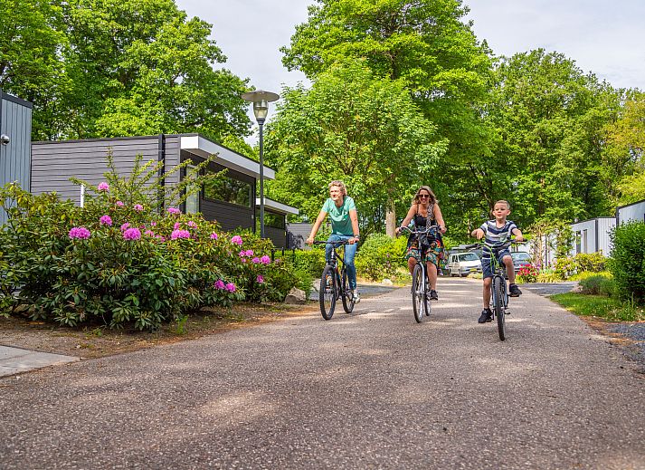 EuroParcs Maasduinen