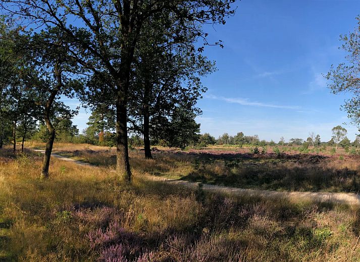 Twenhaarsveld