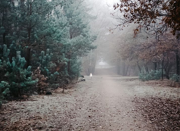 Landgoed De IJsvogel