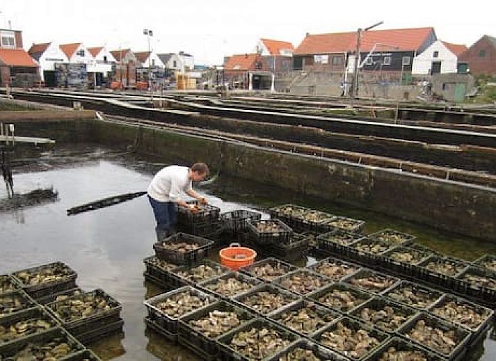 Villapark de Oesterbaai