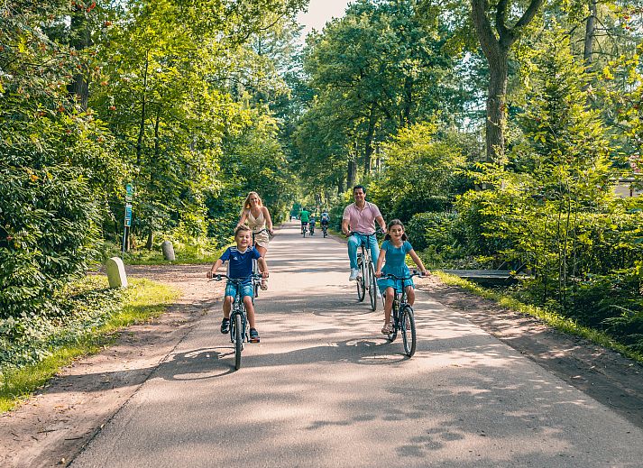 EuroParcs De Utrechtse Heuvelrug