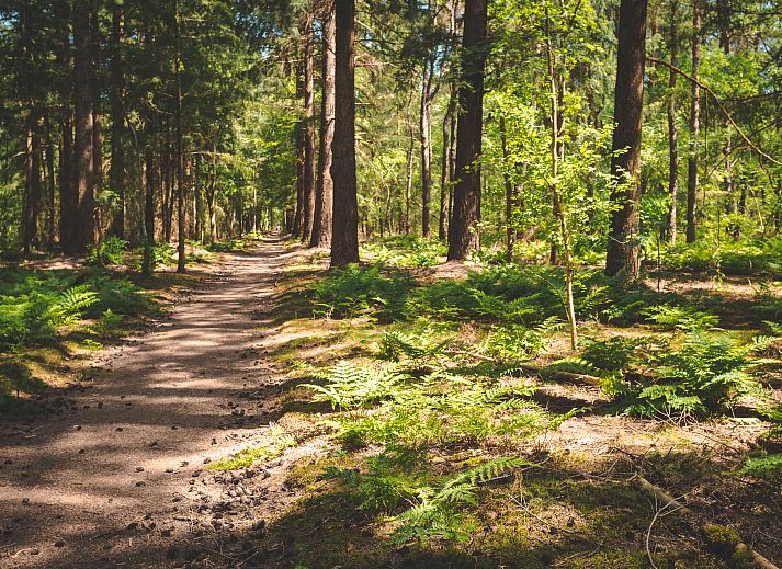 EuroParcs De Utrechtse Heuvelrug