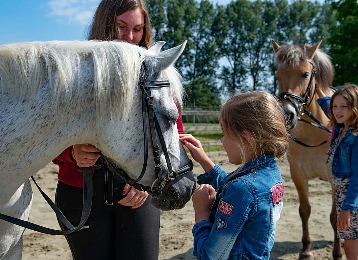 Recreatiecentrum De Vogel