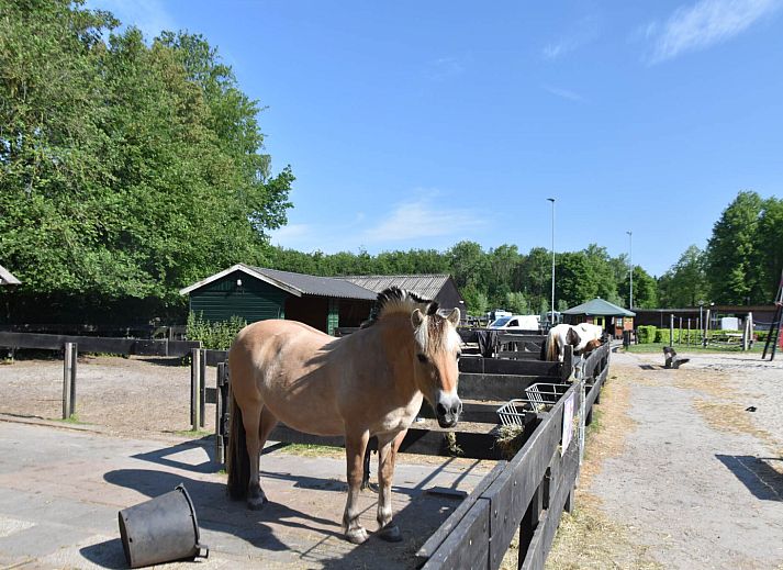 Vakantiepark 't Urkerbos