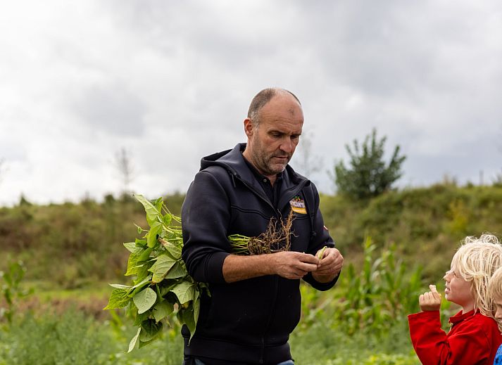 FarmCamps De Kamperhoek
