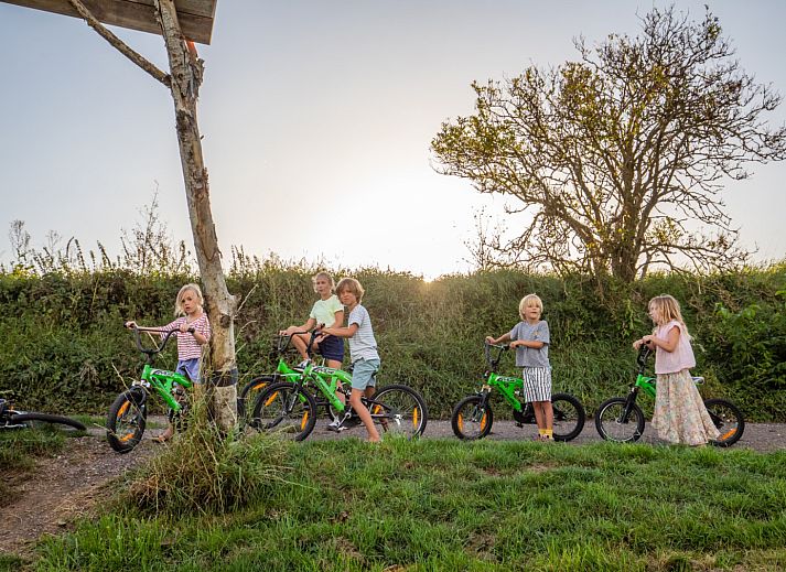 FarmCamps De Kamperhoek