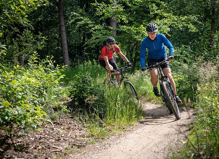 Landal Amerongse Berg