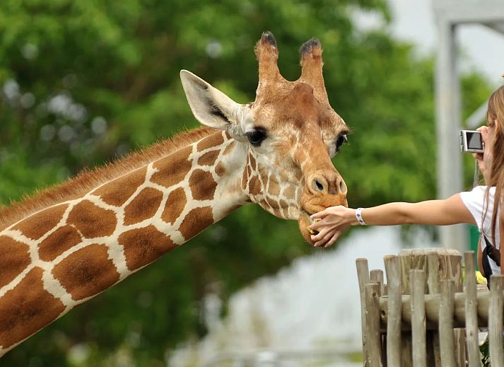 Landal Amerongse Berg