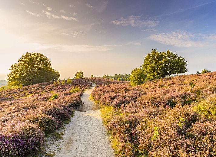 Landal Amerongse Berg