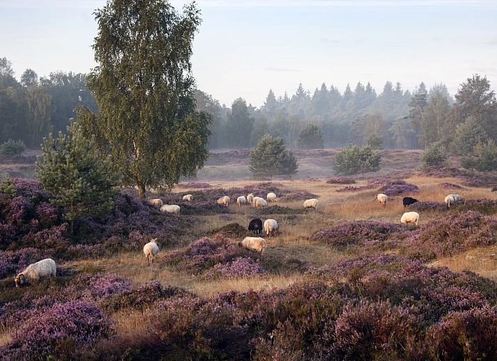 Landal Drentse Lagune