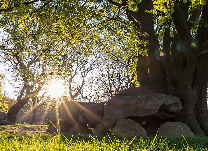 Landal Drentse Lagune