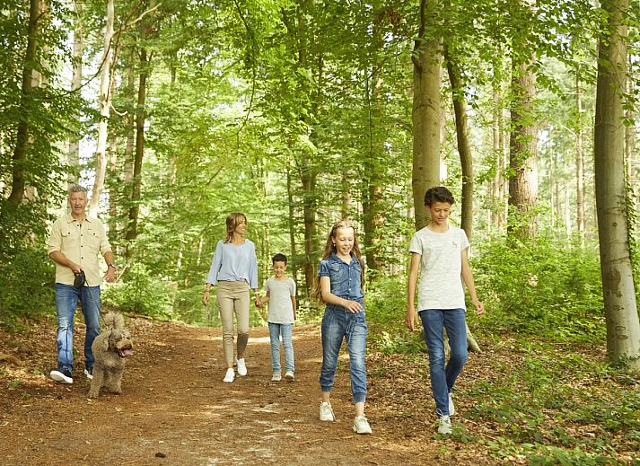 Landal Drentse Lagune