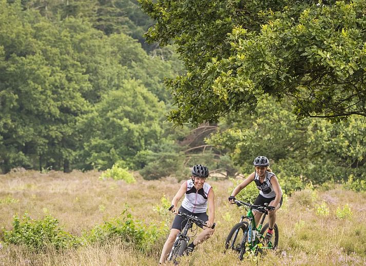 Landal Drentse Lagune