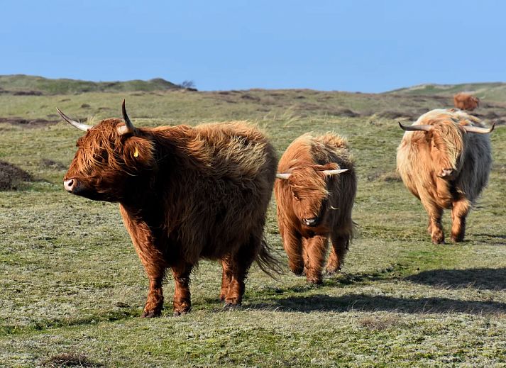 Landal Drentse Lagune