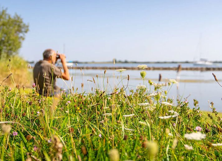 ECO Grevelingenstrand