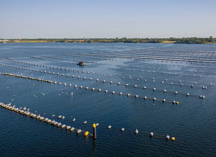 ECO Grevelingenstrand