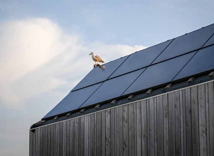 ECO Grevelingenstrand
