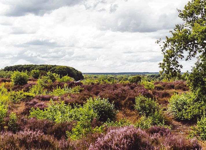 Bospark De Schaapskooi