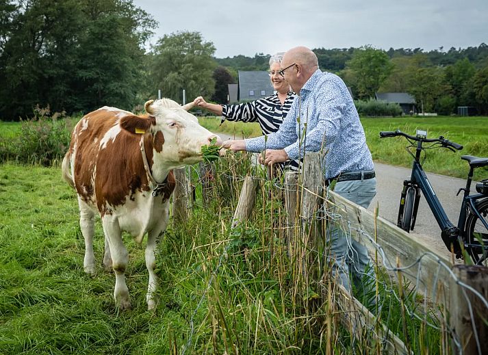 Landal Residence Berger Duinen