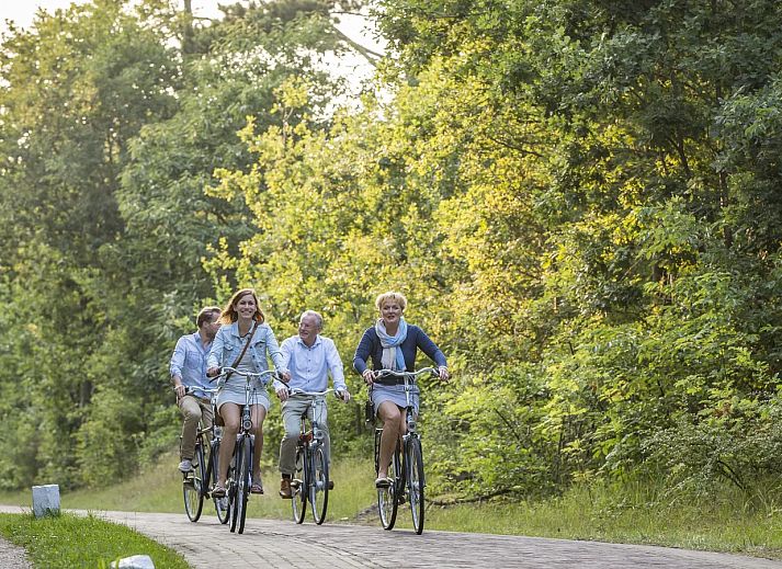 Landal Villapark Vogelmient