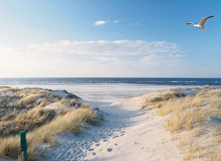 Landal Villapark Vogelmient