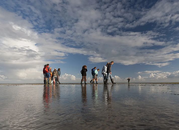 Landal Villapark Vogelmient