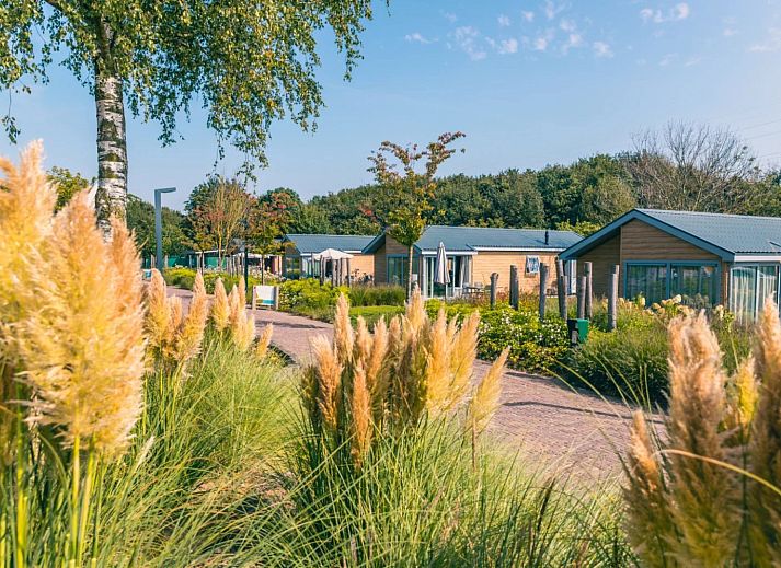 De Kraaijenbergse Plassen