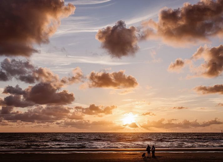 Roompot Beach Houses Zandvoort