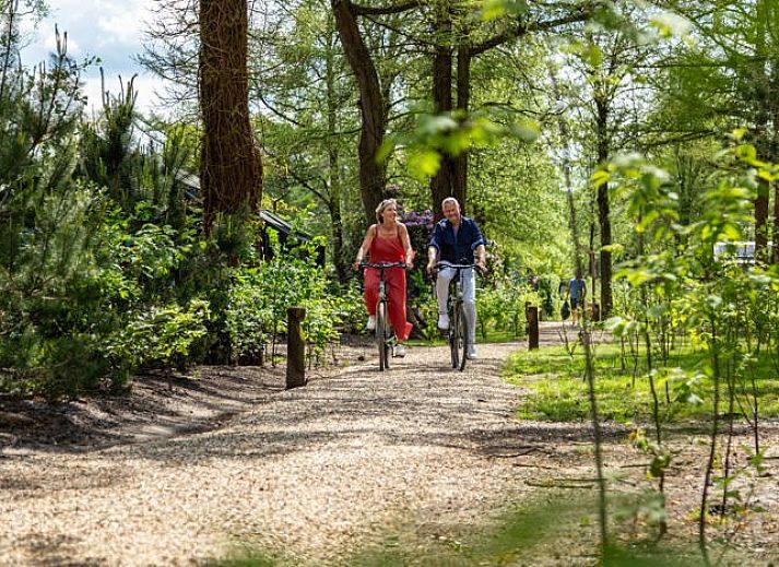 R�sidence Lage Vuursche