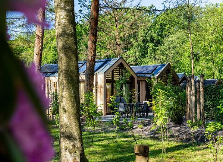 R�sidence Lage Vuursche