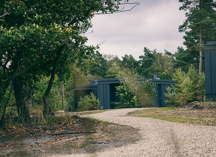 Cuber Veluwe