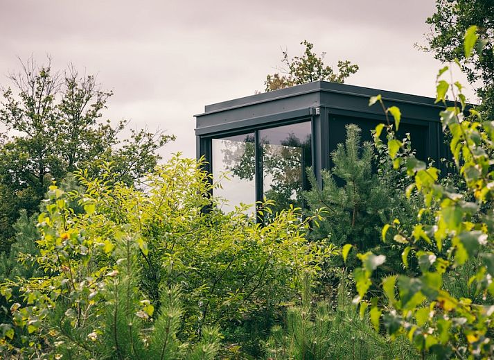 Cuber Veluwe