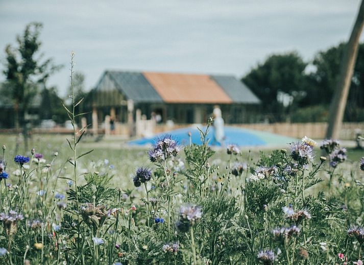 Vakantiepark De Klepperstee