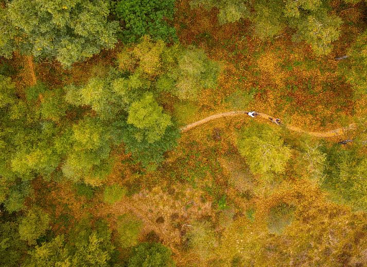 Landal Buytenplaets Rhenen