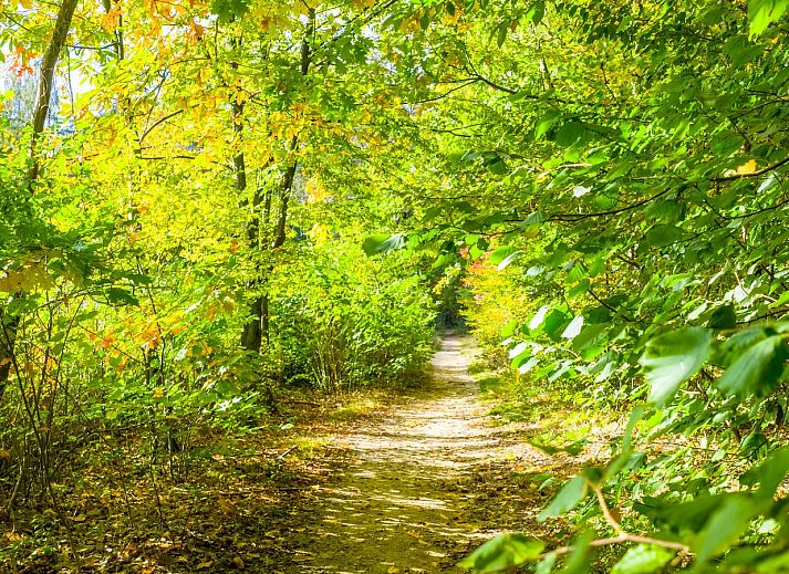 Landal Buytenplaets Rhenen